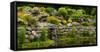 Rocks and plants in Rock Garden, Knowlton, Quebec, Canada-null-Framed Stretched Canvas