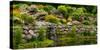 Rocks and plants in Rock Garden, Knowlton, Quebec, Canada-null-Stretched Canvas