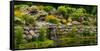 Rocks and plants in Rock Garden, Knowlton, Quebec, Canada-null-Framed Stretched Canvas