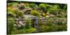 Rocks and plants in Rock Garden, Knowlton, Quebec, Canada-null-Stretched Canvas