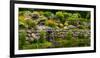 Rocks and plants in Rock Garden, Knowlton, Quebec, Canada-null-Framed Photographic Print