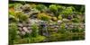 Rocks and plants in Rock Garden, Knowlton, Quebec, Canada-null-Mounted Photographic Print