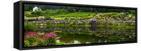 Rocks and plants in Rock Garden, Knowlton, Quebec, Canada-null-Framed Stretched Canvas