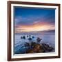 Rocks and Sea Stacks at Nugget Point Otago New Zealand, Sunrise-Travellinglight-Framed Photographic Print