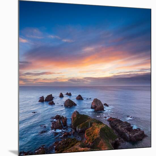 Rocks and Sea Stacks at Nugget Point Otago New Zealand, Sunrise-Travellinglight-Mounted Photographic Print