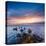 Rocks and Sea Stacks at Nugget Point Otago New Zealand, Sunrise-Travellinglight-Stretched Canvas