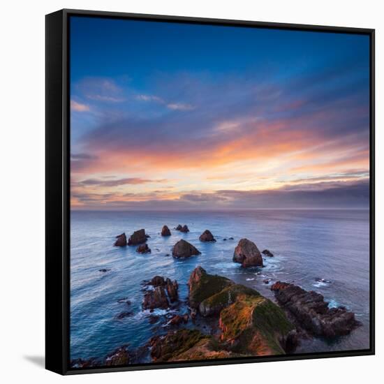 Rocks and Sea Stacks at Nugget Point Otago New Zealand, Sunrise-Travellinglight-Framed Stretched Canvas