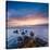 Rocks and Sea Stacks at Nugget Point Otago New Zealand, Sunrise-Travellinglight-Stretched Canvas