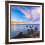 Rocks and Sea Stacks at Nugget Point, Otago, New Zealand-Travellinglight-Framed Premium Photographic Print