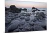 Rocks and Sea Stacks in the Surf at Dawn, Ecola State Park, Oregon, Usa-James Hager-Mounted Photographic Print
