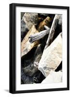 Rocks and Wood I-Alan Hausenflock-Framed Photographic Print