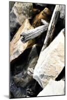 Rocks and Wood I-Alan Hausenflock-Mounted Photographic Print