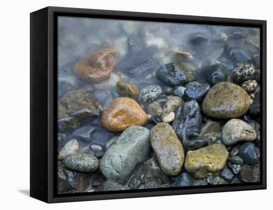 Rocks at edge of river, Eagle Falls, Snohomish County, Washington State, USA-Corey Hilz-Framed Stretched Canvas