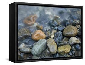 Rocks at edge of river, Eagle Falls, Snohomish County, Washington State, USA-Corey Hilz-Framed Stretched Canvas