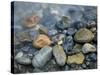 Rocks at edge of river, Eagle Falls, Snohomish County, Washington State, USA-Corey Hilz-Stretched Canvas