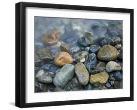 Rocks at edge of river, Eagle Falls, Snohomish County, Washington State, USA-Corey Hilz-Framed Premium Photographic Print