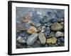 Rocks at edge of river, Eagle Falls, Snohomish County, Washington State, USA-Corey Hilz-Framed Photographic Print