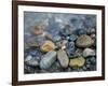 Rocks at edge of river, Eagle Falls, Snohomish County, Washington State, USA-Corey Hilz-Framed Photographic Print