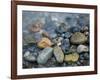 Rocks at edge of river, Eagle Falls, Snohomish County, Washington State, USA-Corey Hilz-Framed Photographic Print