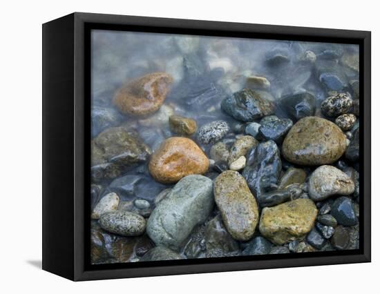 Rocks at edge of river, Eagle Falls, Snohomish County, Washington State, USA-Corey Hilz-Framed Stretched Canvas