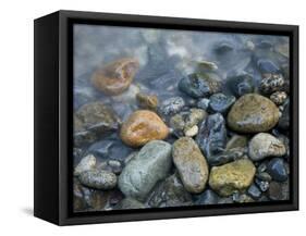 Rocks at edge of river, Eagle Falls, Snohomish County, Washington State, USA-Corey Hilz-Framed Stretched Canvas