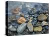 Rocks at edge of river, Eagle Falls, Snohomish County, Washington State, USA-Corey Hilz-Stretched Canvas