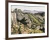 Rocks at L'Estaque-Paul Cézanne-Framed Art Print