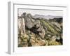 Rocks at L'Estaque-Paul Cézanne-Framed Art Print