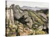 Rocks at L'Estaque-Paul Cézanne-Stretched Canvas