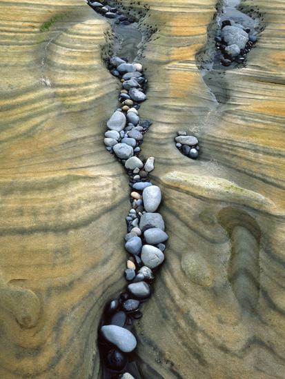 Rocks Caught in Sandstone Formations, Seal Rock Beach, Oregon, USA-Jaynes Gallery-Stretched Canvas
