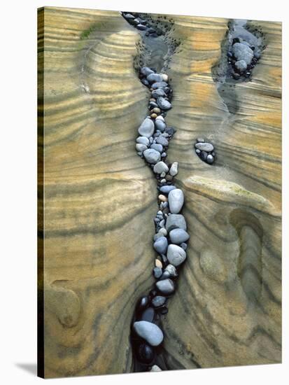 Rocks Caught in Sandstone Formations, Seal Rock Beach, Oregon, USA-Jaynes Gallery-Stretched Canvas