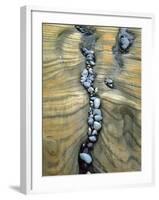 Rocks Caught in Sandstone Formations, Seal Rock Beach, Oregon, USA-Jaynes Gallery-Framed Premium Photographic Print