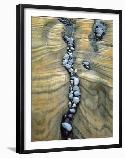 Rocks Caught in Sandstone Formations, Seal Rock Beach, Oregon, USA-Jaynes Gallery-Framed Premium Photographic Print