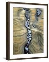 Rocks Caught in Sandstone Formations, Seal Rock Beach, Oregon, USA-Jaynes Gallery-Framed Premium Photographic Print