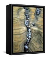 Rocks Caught in Sandstone Formations, Seal Rock Beach, Oregon, USA-Jaynes Gallery-Framed Stretched Canvas