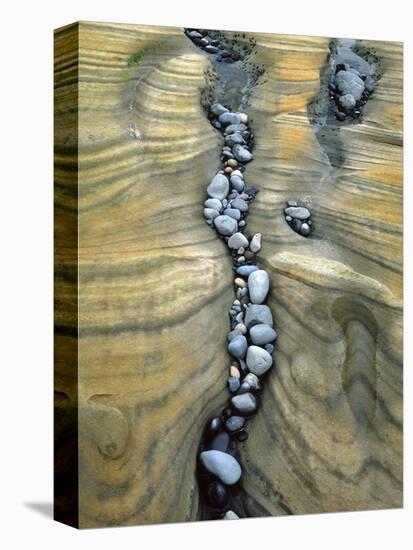 Rocks Caught in Sandstone Formations, Seal Rock Beach, Oregon, USA-Jaynes Gallery-Stretched Canvas