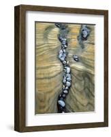 Rocks Caught in Sandstone Formations, Seal Rock Beach, Oregon, USA-Jaynes Gallery-Framed Photographic Print