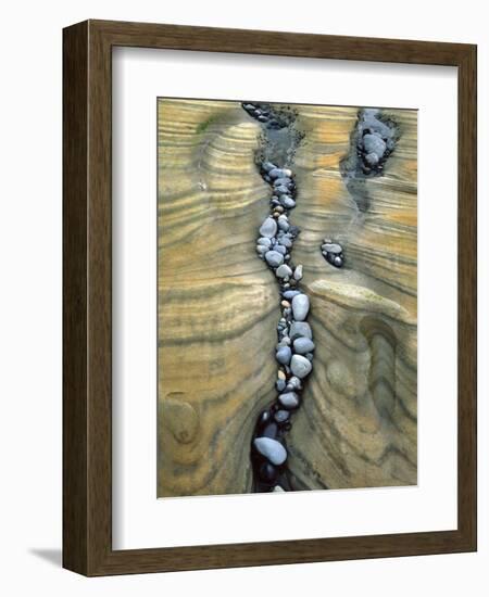 Rocks Caught in Sandstone Formations, Seal Rock Beach, Oregon, USA-Jaynes Gallery-Framed Photographic Print