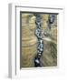 Rocks Caught in Sandstone Formations, Seal Rock Beach, Oregon, USA-Jaynes Gallery-Framed Photographic Print