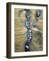 Rocks Caught in Sandstone Formations, Seal Rock Beach, Oregon, USA-Jaynes Gallery-Framed Photographic Print