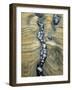 Rocks Caught in Sandstone Formations, Seal Rock Beach, Oregon, USA-Jaynes Gallery-Framed Photographic Print