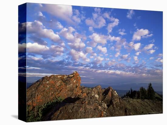 Rocks Covered with Lichen, Deer Park, Olympic National Park, Washington State, USA-Aaron McCoy-Stretched Canvas