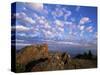 Rocks Covered with Lichen, Deer Park, Olympic National Park, Washington State, USA-Aaron McCoy-Stretched Canvas