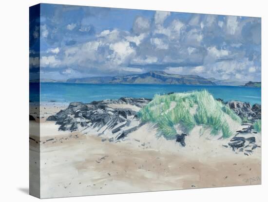 Rocks & Grasses, Iona, 2013-Charles Simpson-Stretched Canvas