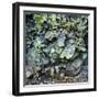 Rocks Iceland 6-Moises Levy-Framed Photographic Print