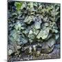 Rocks Iceland 6-Moises Levy-Mounted Photographic Print