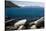 Rocks in a lake with mountain range in the background, Lake Tahoe, California, USA-Panoramic Images-Stretched Canvas