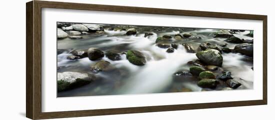 Rocks in a River, Little Pigeon River, Great Smoky Mountains National Park, Tennessee, USA-null-Framed Photographic Print
