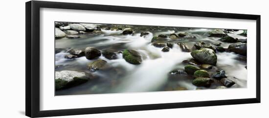 Rocks in a River, Little Pigeon River, Great Smoky Mountains National Park, Tennessee, USA-null-Framed Photographic Print