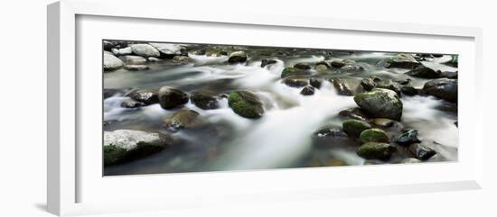 Rocks in a River, Little Pigeon River, Great Smoky Mountains National Park, Tennessee, USA-null-Framed Photographic Print